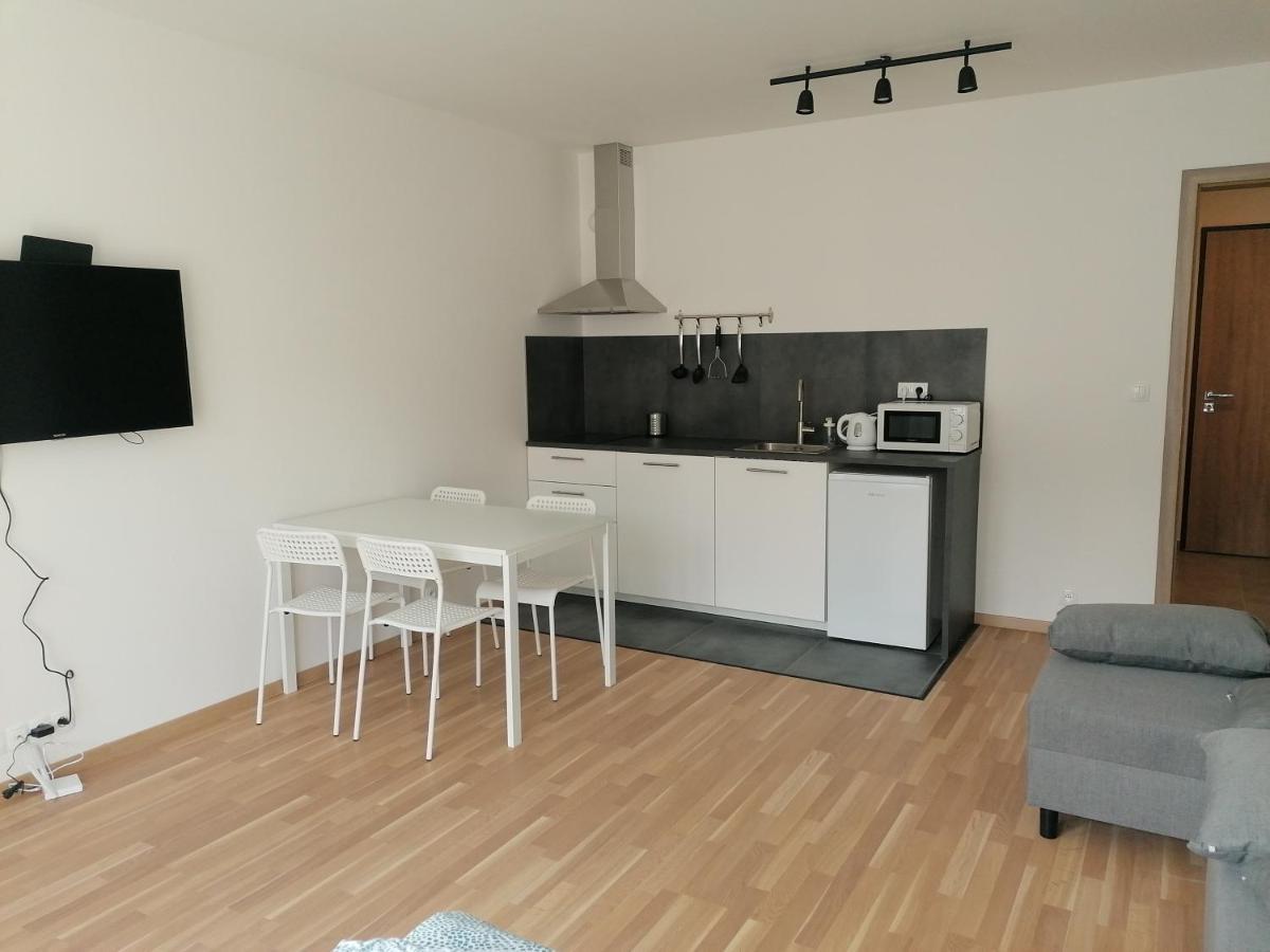 Brand New Studio Apartment #21 With Free Secure Parking In The Center Praha Exteriér fotografie