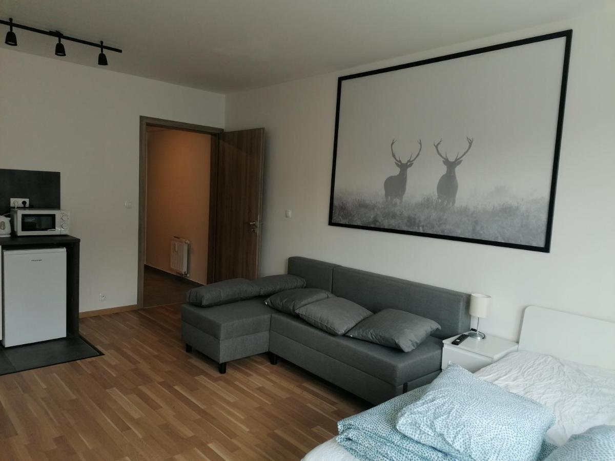 Brand New Studio Apartment #21 With Free Secure Parking In The Center Praha Exteriér fotografie